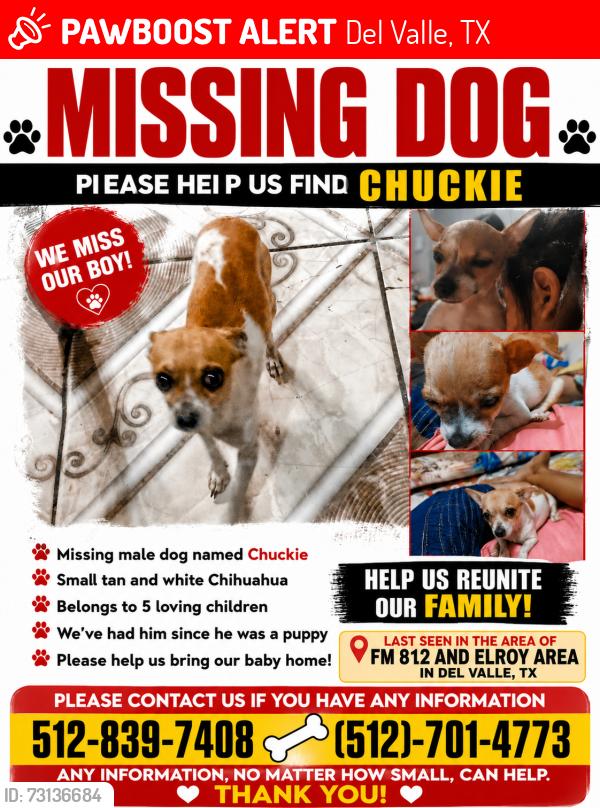 Lost Male Dog last seen Near Elroy Rd, Del Valle, TX 78617