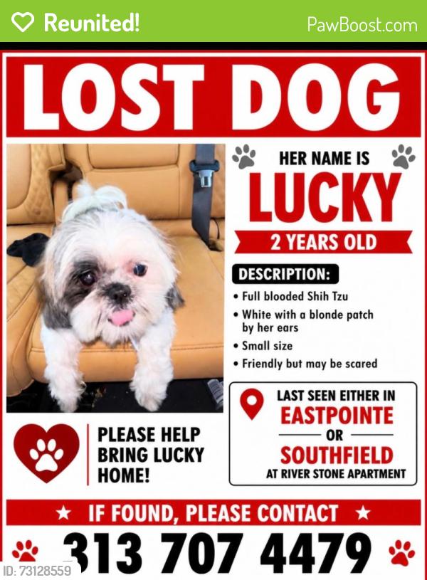 Reunited Female Dog last seen Southfield or Eastpointe mi, Eastpointe, MI 48021