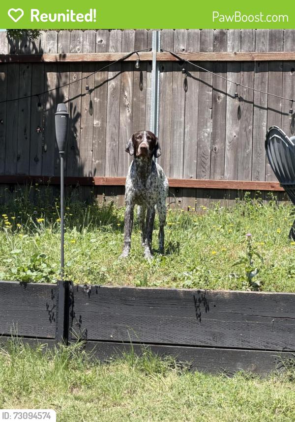 Reunited Male Dog last seen Vista Creek, Roseville, CA 95661