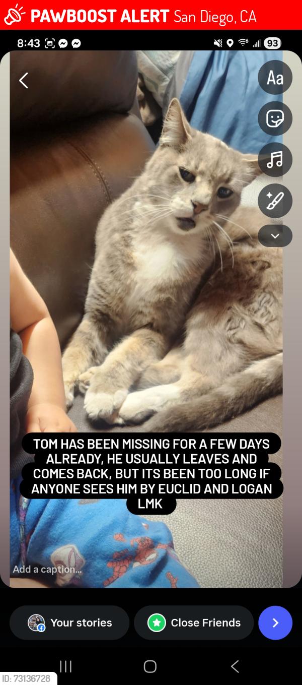 Lost Male Cat last seen Cuban, San Diego, CA 92114