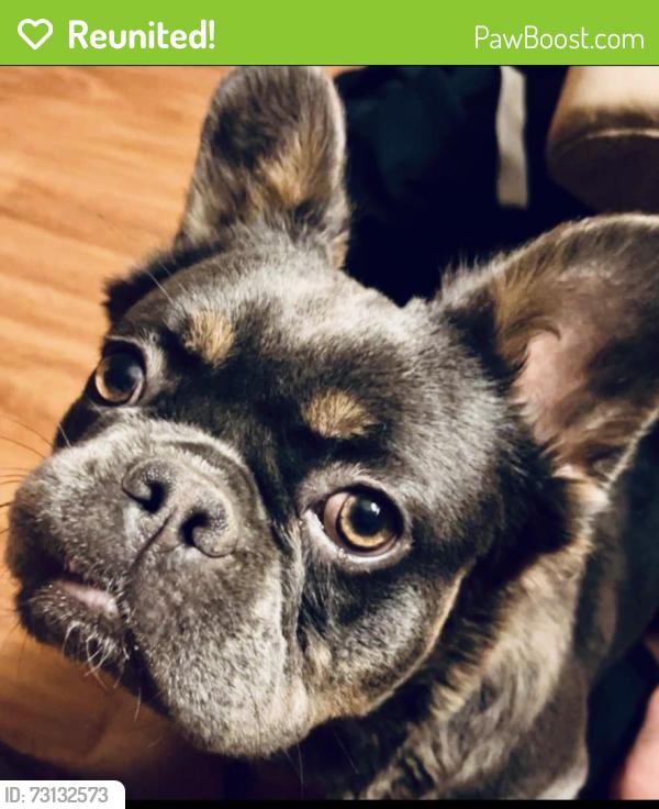 Reunited Female Dog last seen Near Calle Avila, Coachella, CA 92236