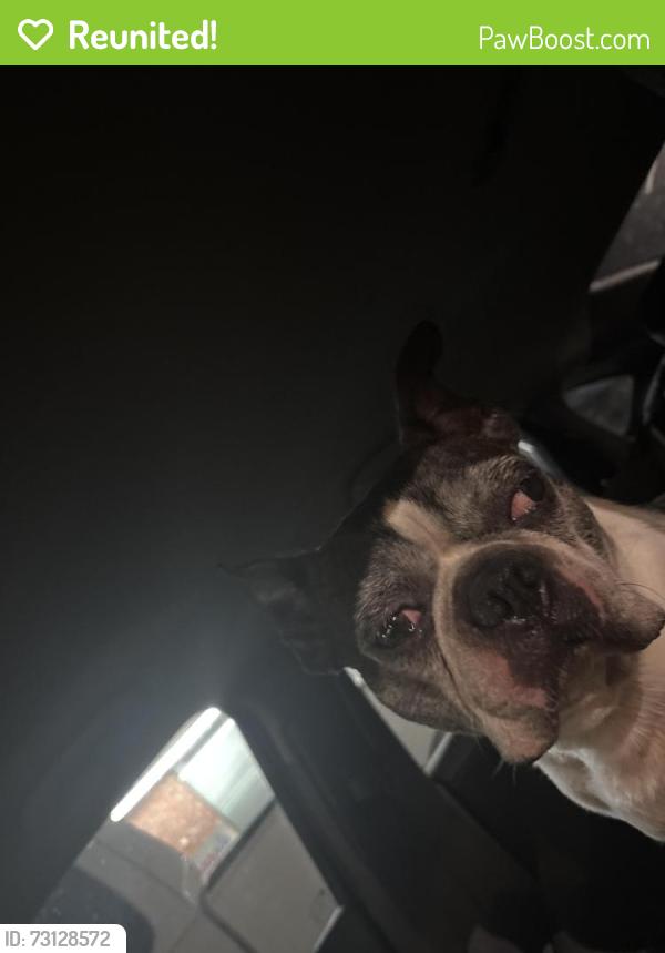 Reunited Male Dog last seen Chapel creek, Fort Worth, TX 76108