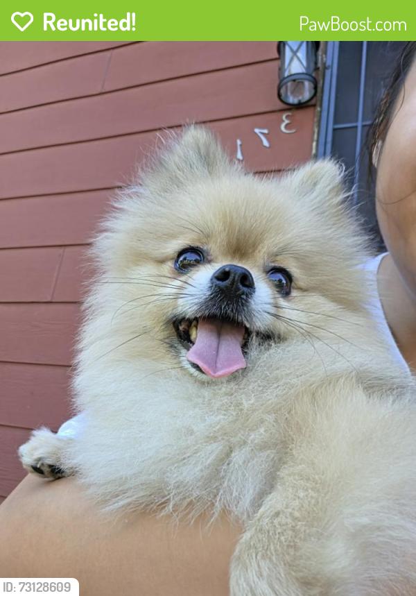 Reunited Male Dog last seen Near Colfax Ave N, Minneapolis, MN 55412
