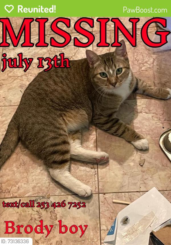 Reunited Male Cat last seen Near 51st Ave NE, Marysville, WA 98271, Marysville, WA 98271
