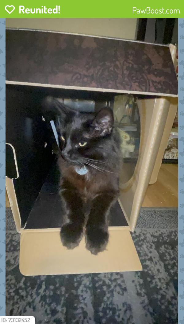 Reunited Male Cat last seen Corner of 5th & F st, Oxnard, CA 93030