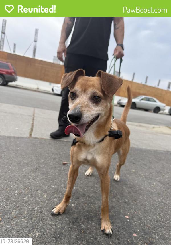 Reunited Male Dog last seen Good Samaritan hosp, San Jose, CA 95124