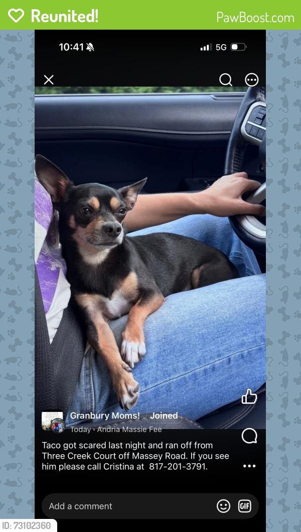 Reunited Male Dog last seen Fall Creek Hwy, Acton, TX 76049
