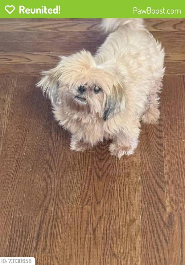Reunited Female Dog last seen Platt Springs, Bluefield Road, and Clermont Lakes Drive, Lexington, SC 29073
