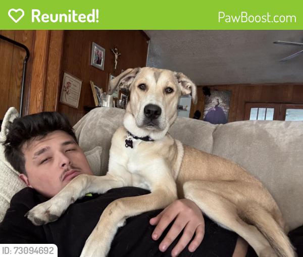 Reunited Female Dog last seen Klondike Dr Dallas, Dallas, TX 75228