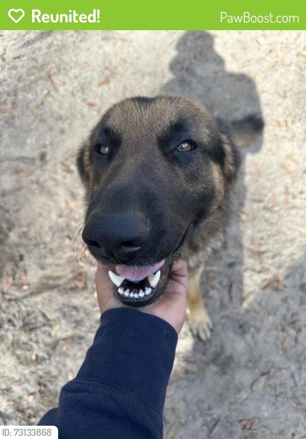 Reunited Male Dog last seen Near Shady Ln, Summerville, SC 29485