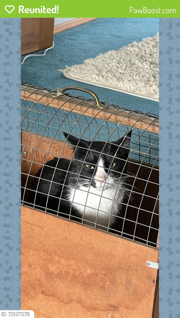 Reunited Male Cat last seen Smith rd, Whatcom County, WA 98226