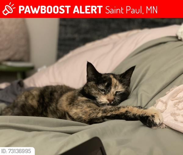 Lost Female Cat last seen Located near Eastern Heights Elementary School, Saint Paul, MN 55119