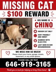 Lost Male Cat last seen Farragut Rd., Brooklyn, NY 11210