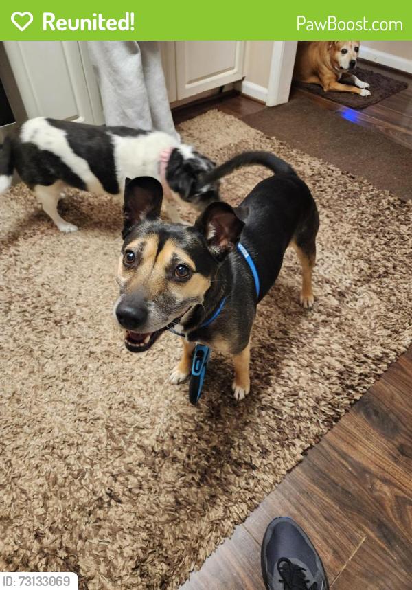 Reunited Male Dog last seen Liberty Hill Rd, Marietta, GA 30066