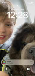 Reunited Male Dog last seen Liverpool road, Great Sankey, England WA5 1JA