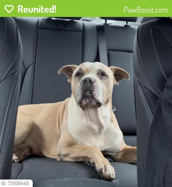 Reunited Male Dog last seen Veterans Pkwy and Mainbridge Lane, Willingboro, NJ 08046