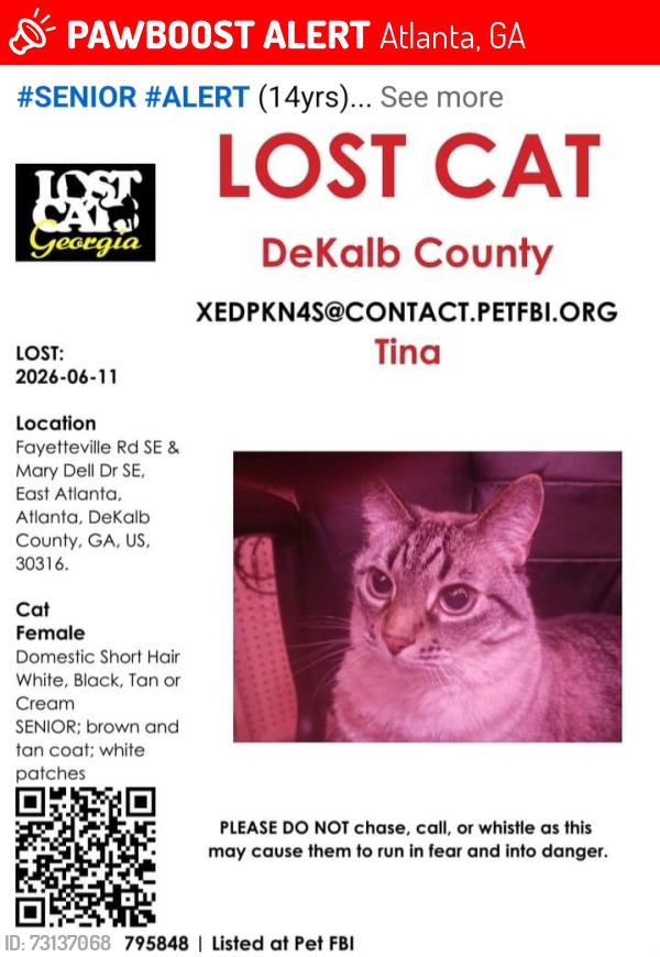 Lost Female Cat last seen Mary Dell and Fayetteville Rd, Atlanta, GA 30316