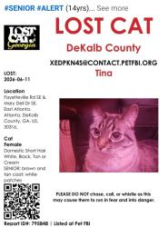 Lost Female Cat last seen Mary Dell and Fayetteville Rd, Atlanta, GA 30316
