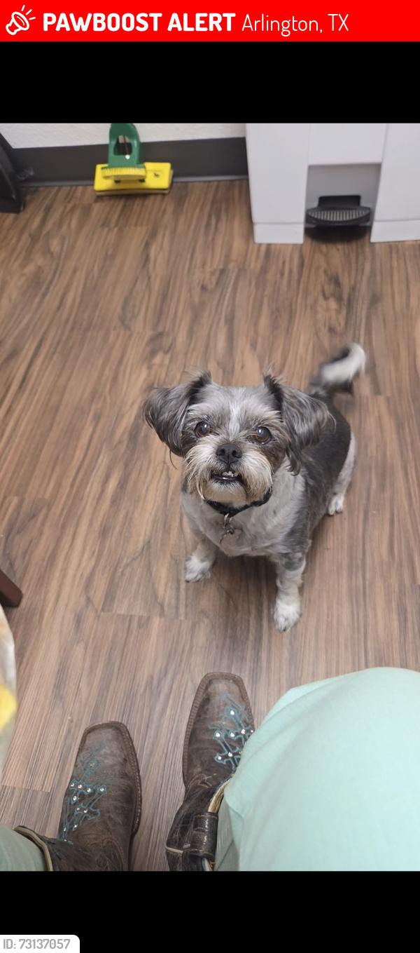 Lost Male Dog last seen Abrams/360, Arlington, TX 76010