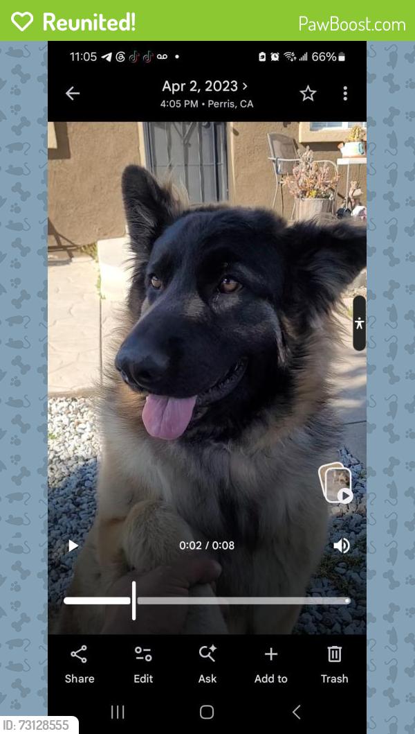 Reunited Female Dog last seen 3rd St & Perris Blv, Perris, CA 92570