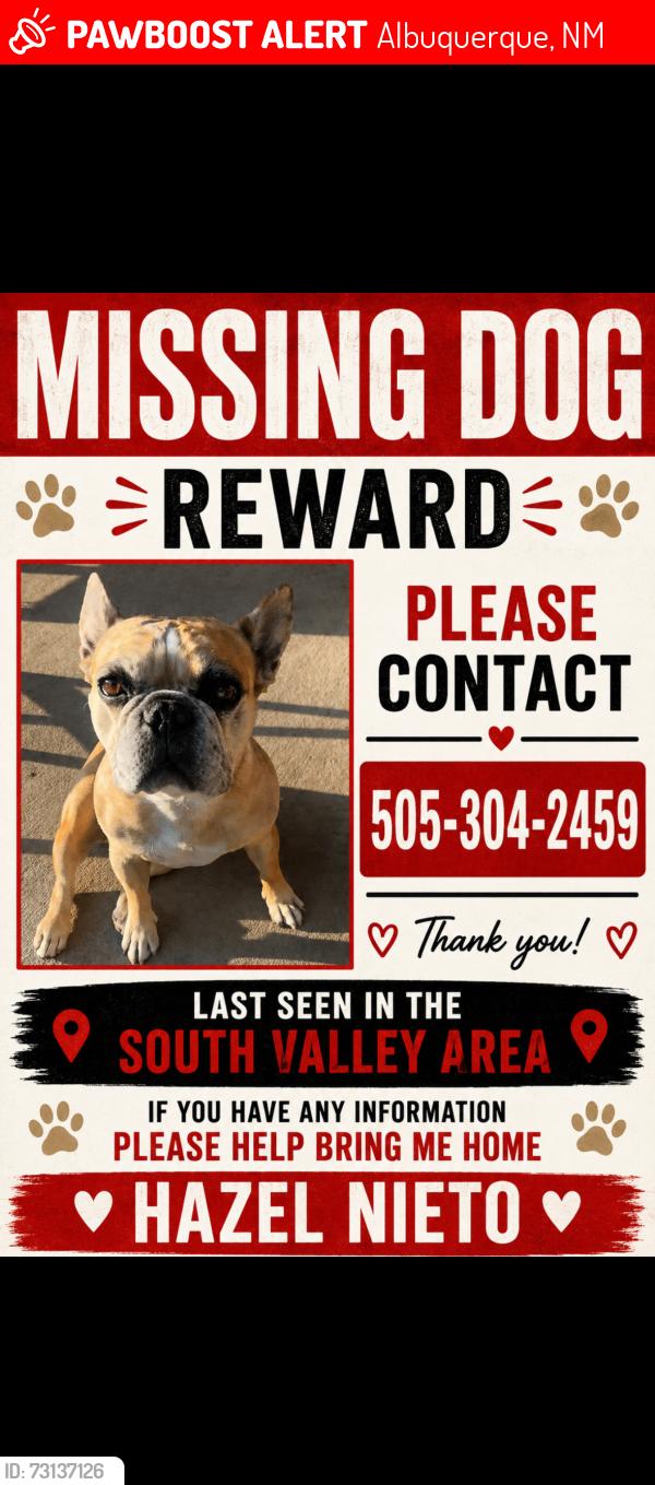 Lost Female Dog last seen Crunch fitness, Albuquerque, NM 87105