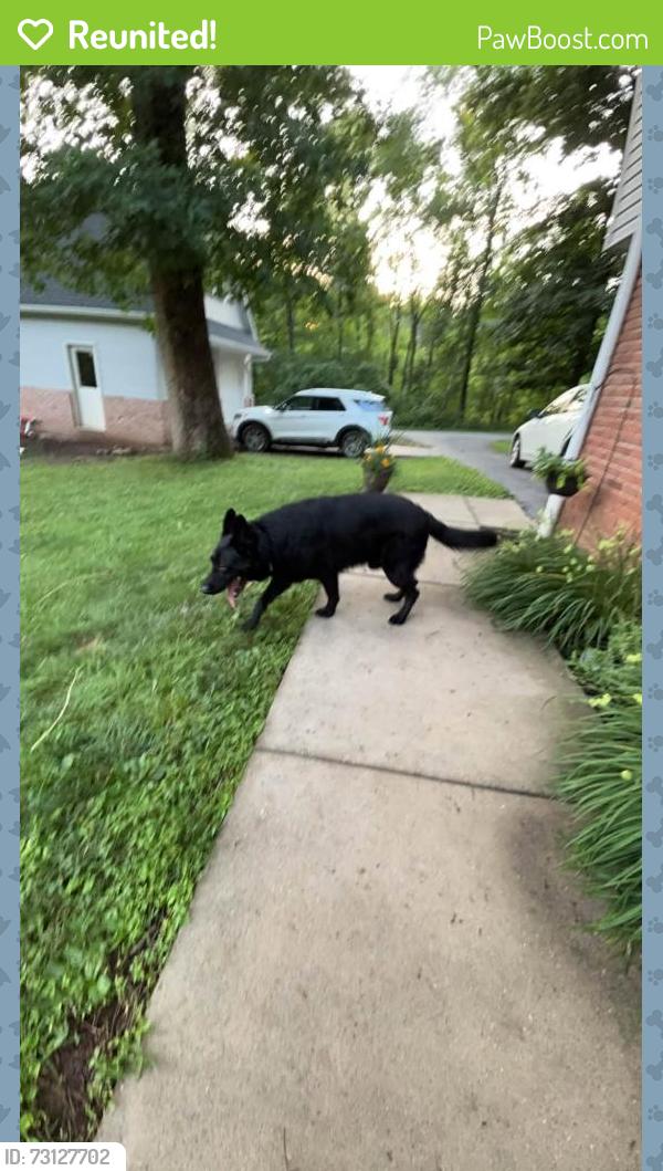 Reunited Male Dog last seen Swamp Pike, Montgomery County, PA 19464