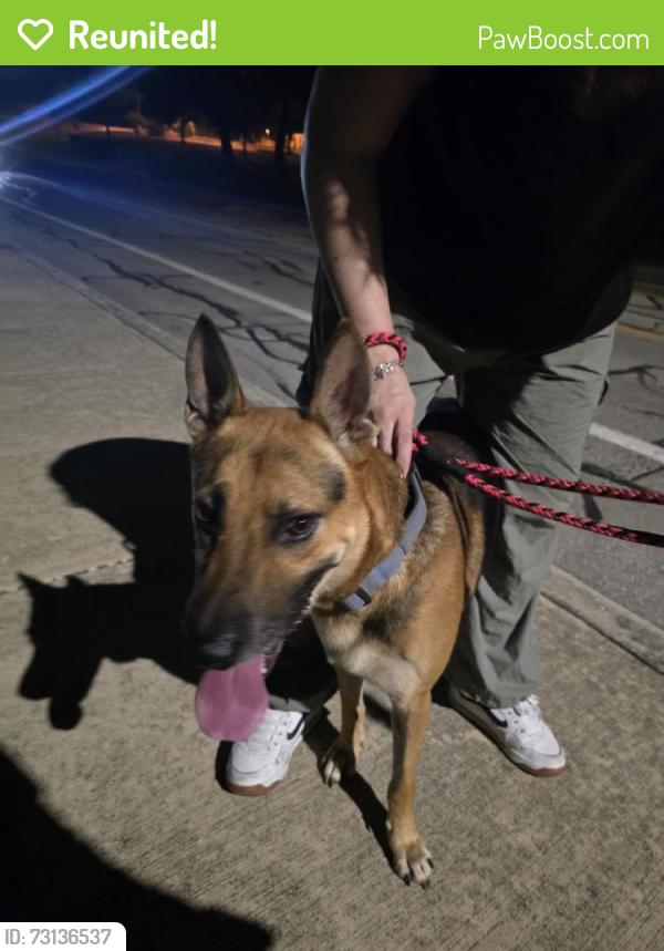 Reunited Male Dog last seen Old Cimarron Trail, Converse, TX, USA, Converse, TX 78148
