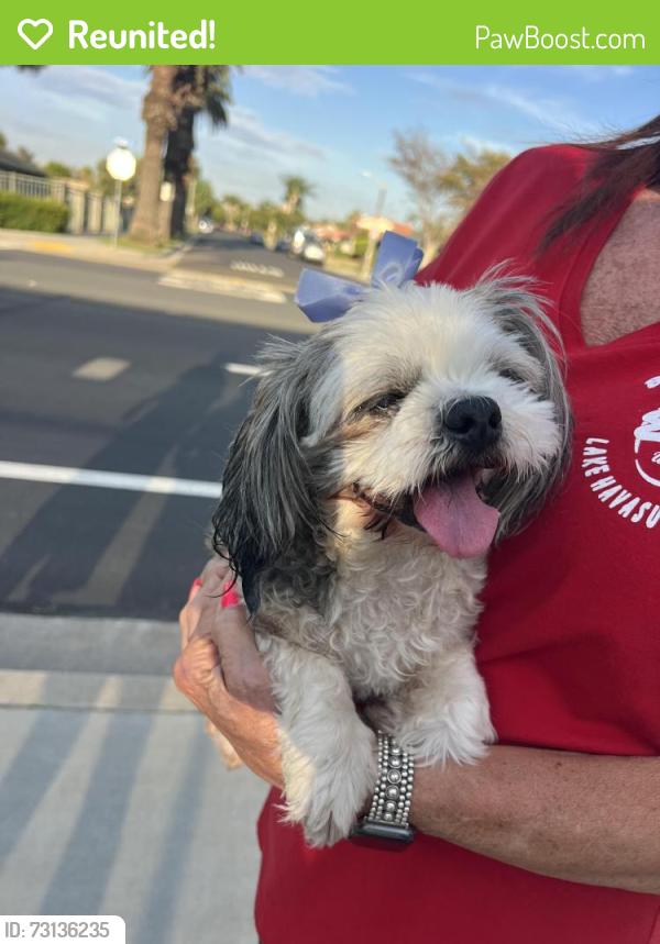 Reunited Female Dog last seen Lincoln & Alta Loma, Corona, CA 92882