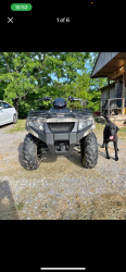 Lost Female Dog last seen Rogers Creek School, Athens, TN 37303