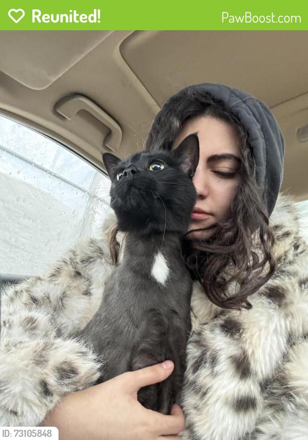 Reunited Male Cat last seen Near rue myosotis, Sainte-Thérèse, QC J7E 5L3