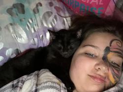 Lost Male Cat last seen 41st and 42nd, Tulsa, OK 74107