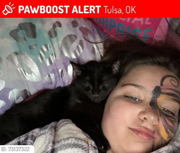 Lost Male Cat last seen 41st and 42nd, Tulsa, OK 74107