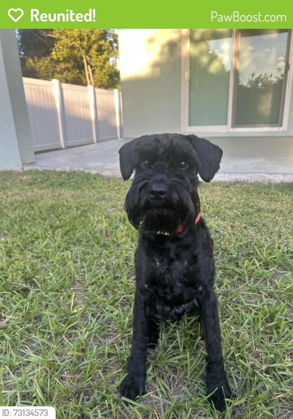Reunited Male Dog last seen Becker and Savona, Port St. Lucie, FL 34984