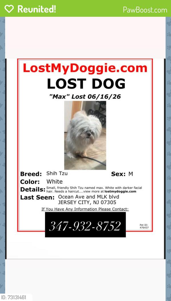 Reunited Male Dog last seen Wilkinson and Ocean, Jersey City, NJ 07305