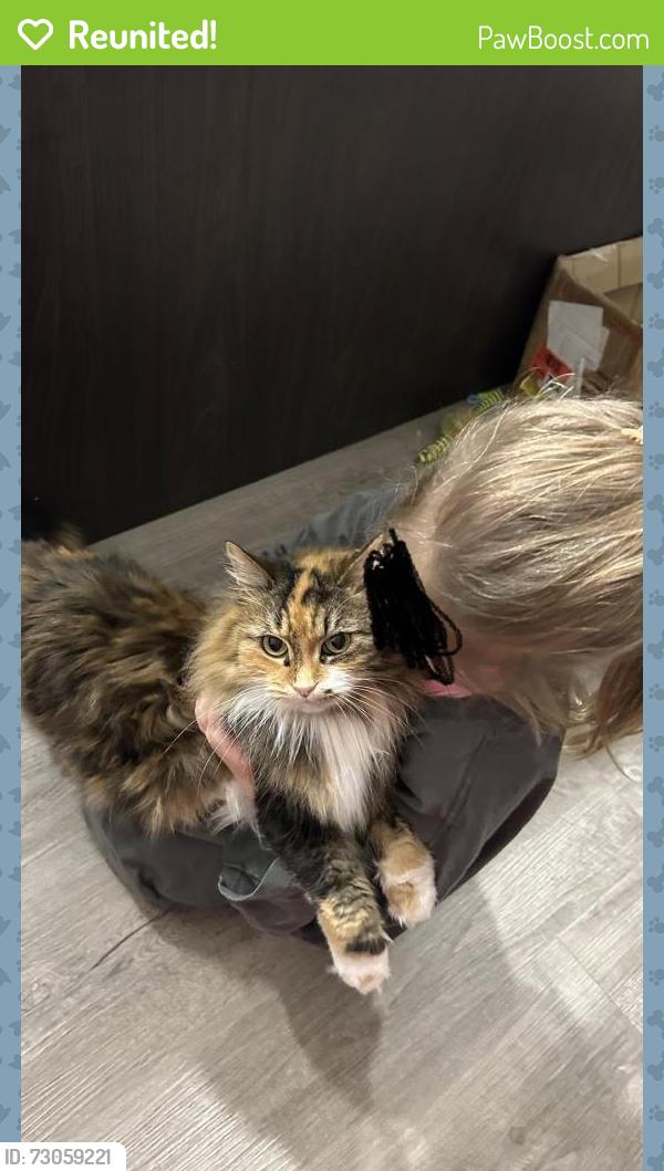 Reunited Female Cat last seen Millbrook Avenue & Shrewsbury Road, Cole Harbour, NS B2V