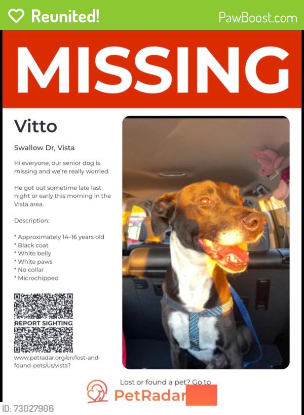 Reunited Male Dog last seen Melrose dr, Vista, CA 92083