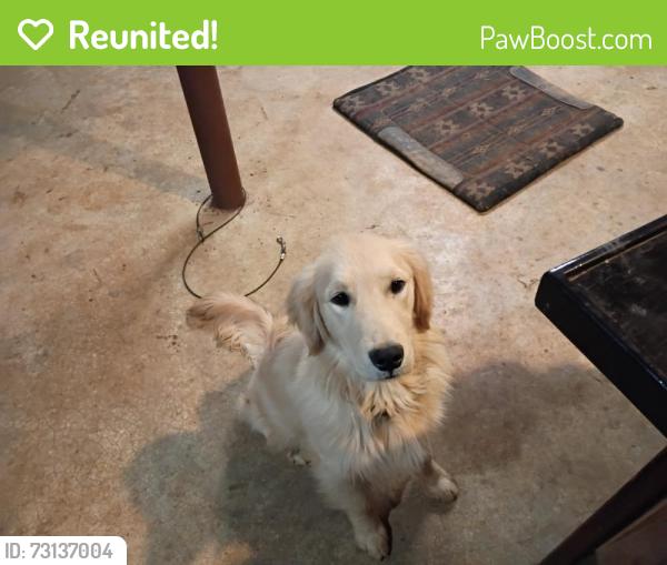 Reunited Male Dog last seen Near Cherokee Elementary School, Johnson City, TN 37604