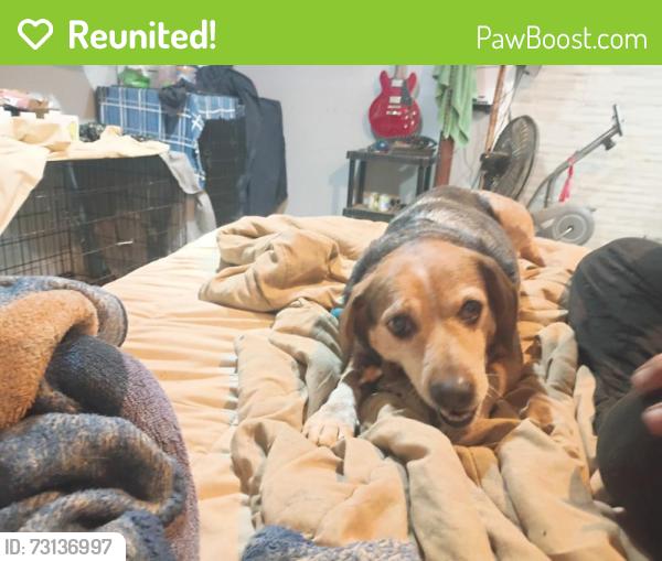 Reunited Male Dog last seen Near Cherokee, Johnson City, TN 37604