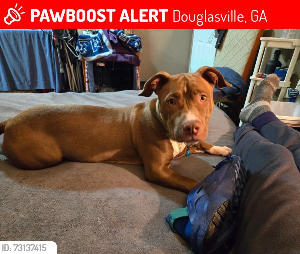 Lost Female Dog last seen Douglasville Ga, Douglasville, GA 30134