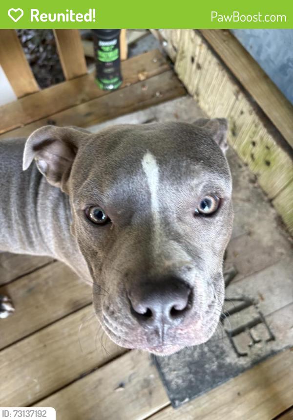Reunited Male Dog last seen i20 & 69 Whataburger, Lindale, TX 75706