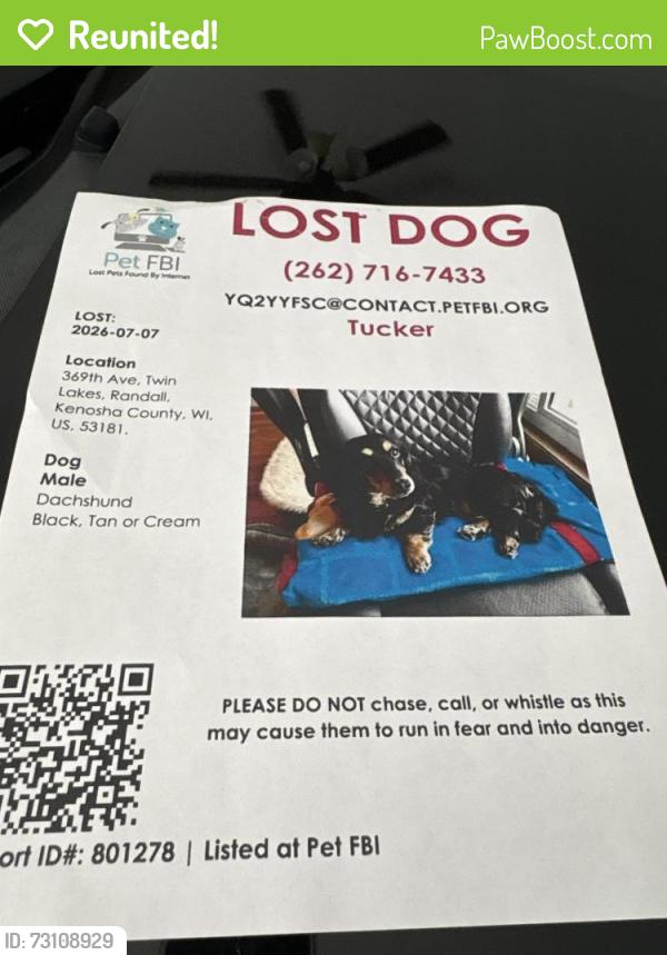Reunited Male Dog last seen 368th Avenue, Twin Lakes, WI 53181