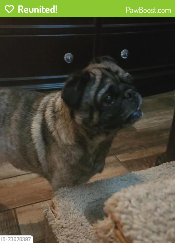 Reunited Male Dog last seen Beach st, Fort Worth, TX 76137
