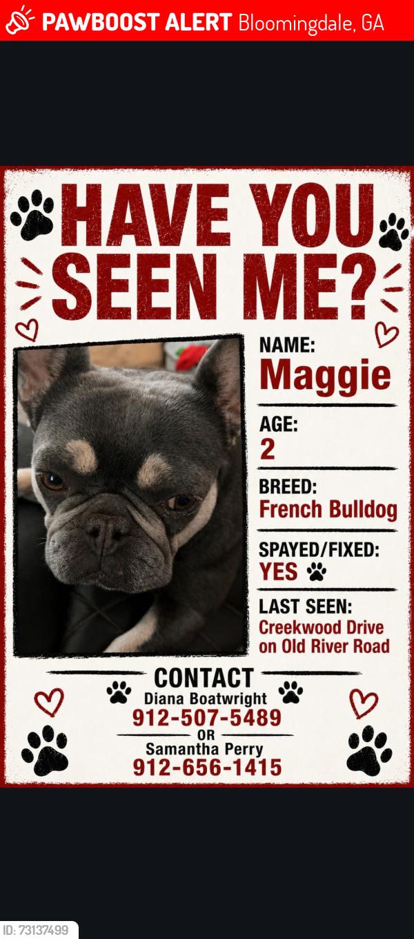 Lost Female Dog last seen Hwy 80, Bloomingdale, GA 31302