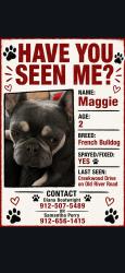 Lost Female Dog last seen Hwy 80, Bloomingdale, GA 31302