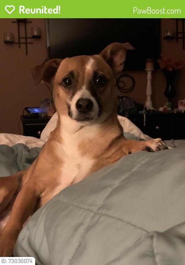 Reunited Female Dog last seen Teal Run and Teal bend blvd, Fresno, TX 77545