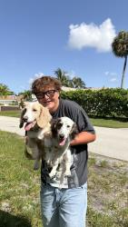 Reunited Unknown Dog last seen 18th Street & 12th, Boca Raton, FL 33486