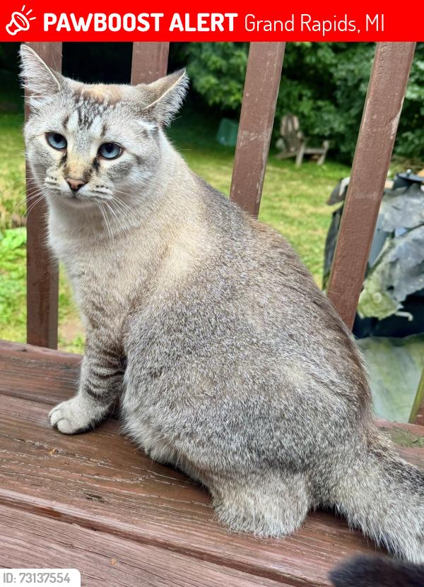 Lost Male Cat last seen Conlon & Colton, Grand Rapids, MI 49506
