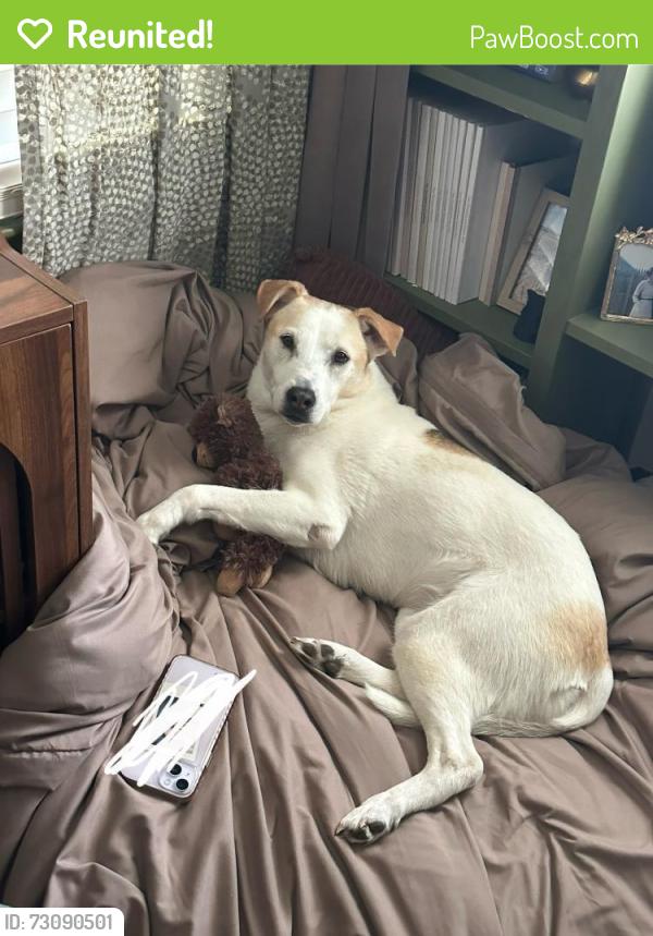 Reunited Female Dog last seen 52nd and Hillside Ave, near IPS 91, Indianapolis, IN 46205