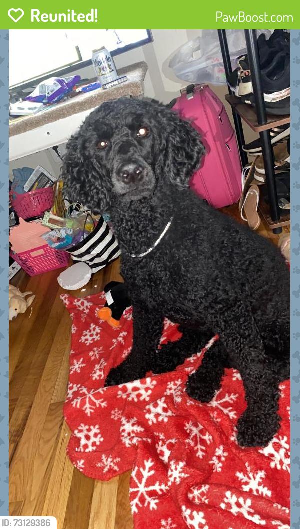 Reunited Female Dog last seen Old Dunham bridge rd, Greenville, SC 29611