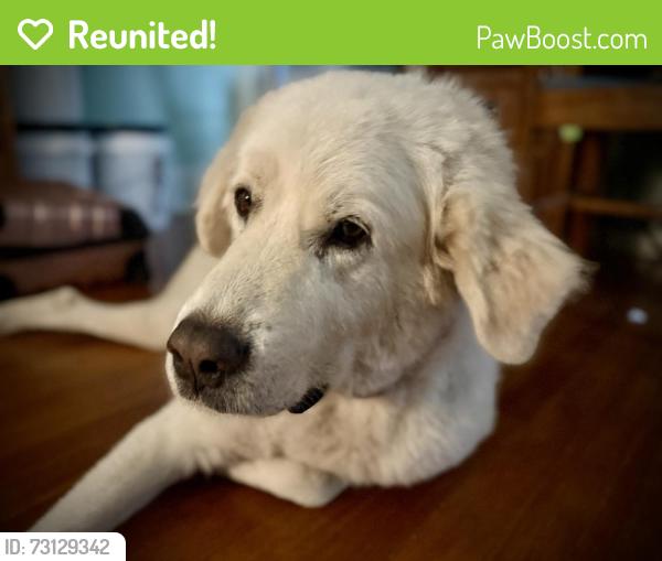 Reunited Unknown Dog last seen Moss, Carencro, LA 70520